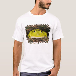 Südamerikanischer Hornfrosch, Ceratophrys cornuta, T-Shirt