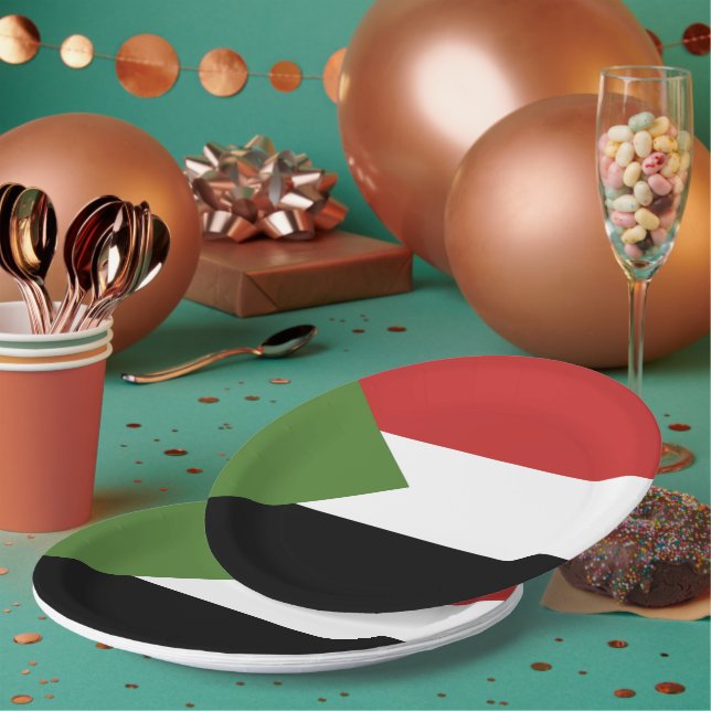 Sudan-Flagge Pappteller (Multi)