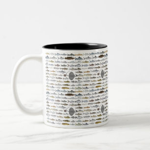 Südasien-Süßwasserfischgruppe Zweifarbige Tasse