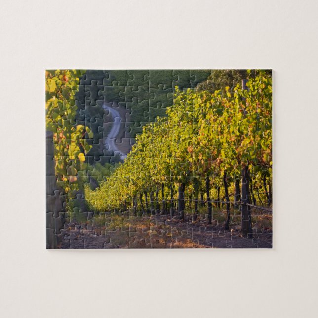 Südaustralien, Adelaide Hills, Summertown2 (Horizontal)