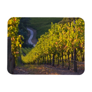 Südaustralien, Adelaide Hills, Summertown. 2 Magnet