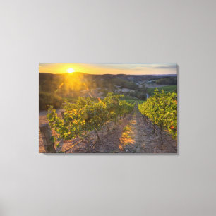 Südaustralien, Adelaide Hills, Summertown. Leinwanddruck