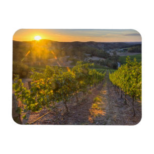 Südaustralien, Adelaide Hills, Summertown. Magnet