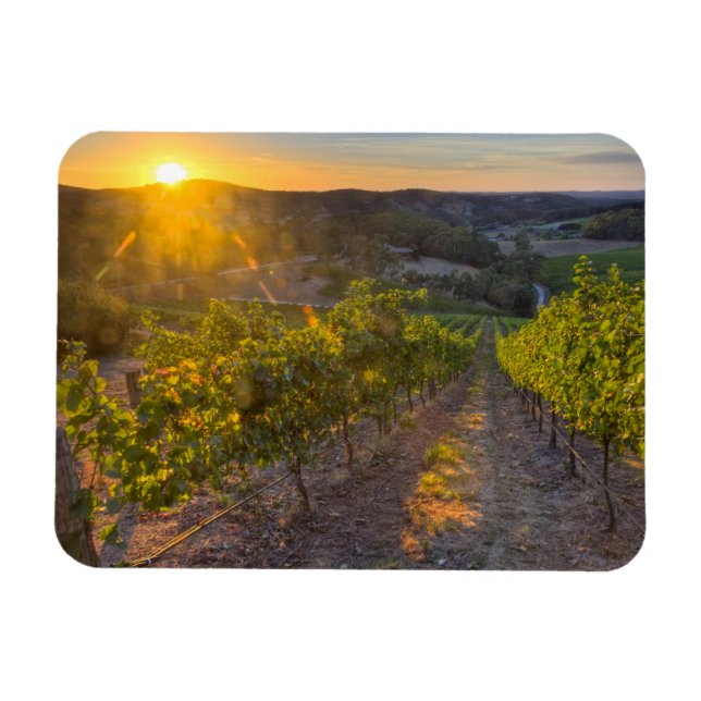 Südaustralien, Adelaide Hills, Summertown. Magnet (Horizontal)