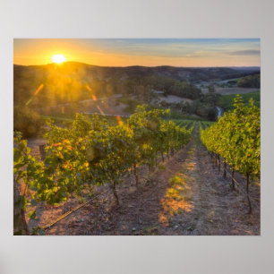 Südaustralien, Adelaide Hills, Summertown. Poster