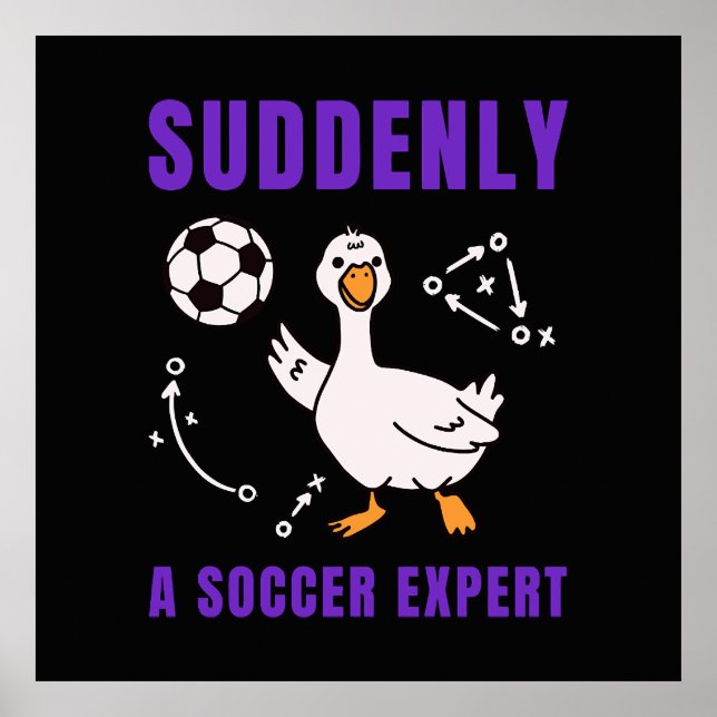 Suddenly a soccer expert poster (Vorne)