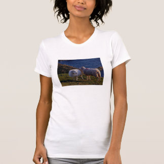 SüdDevon zwei Schafe auf Fernküstenlinie T-Shirt
