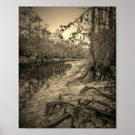 "Südflorida-Bach" Poster