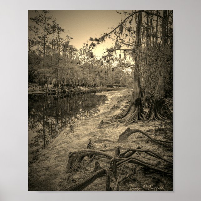 "Südflorida-Bach"  Poster (Vorne)