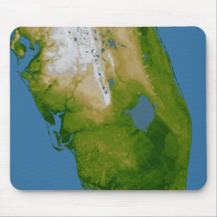 Südflorida Mousepad