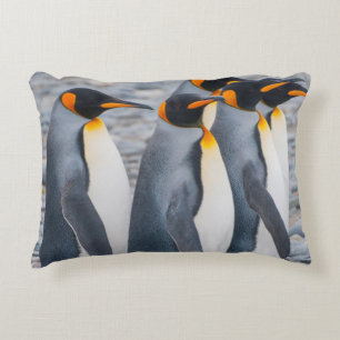 Südgeorgien. Königspinguine Dekokissen