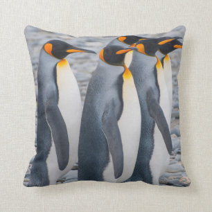 Südgeorgien. Königspinguine Kissen