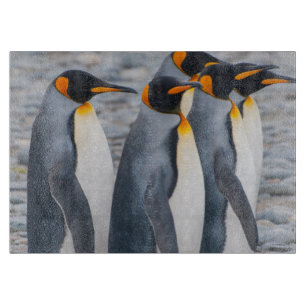 Südgeorgien. Königspinguine Schneidebrett