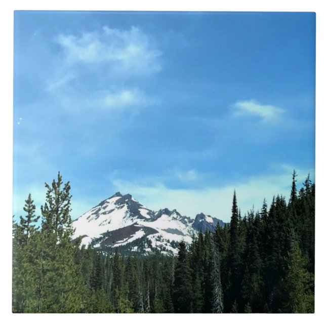 Südister, OR Fliese (Vorderseite)