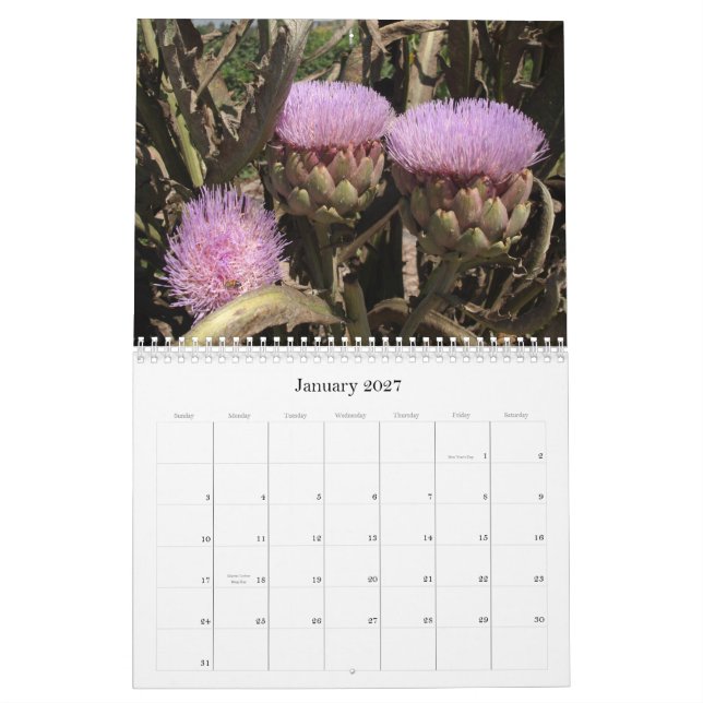 Südkalifornien-Blumen Kalender (Jan 2027)