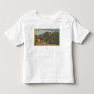 Südkalifornien - Sammeln-Orangen Kleinkind T-shirt