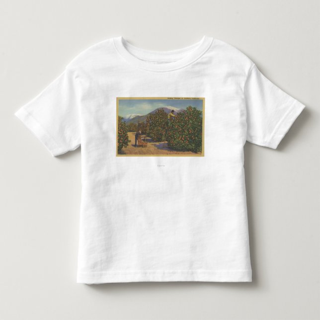 Südkalifornien - Sammeln-Orangen Kleinkind T-shirt (Vorderseite)