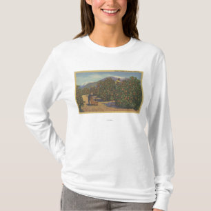 Südkalifornien - Sammeln-Orangen T-Shirt