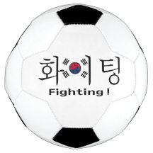 Südkorea kämpft Hangul und Flagge Unterstützer