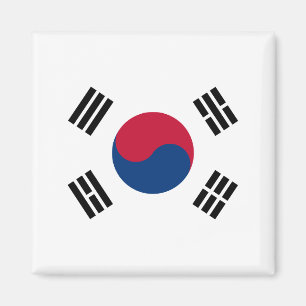 Südkoreanische Flagge Magnet