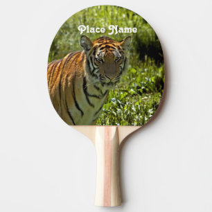 Südkoreanischer Tiger Tischtennis Schläger