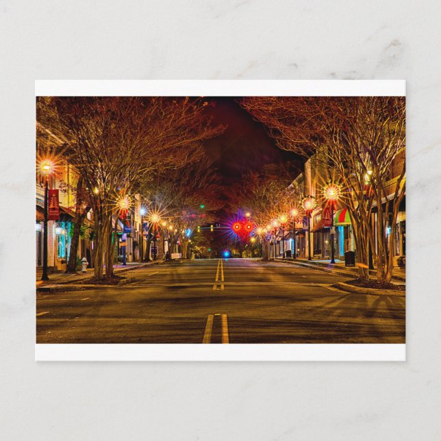 südlich karolinaweiße Rose Weihnachten (Vorderseite)