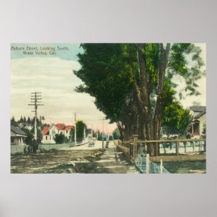 Südliche Ansicht von der kastanienbraunen Straße Poster