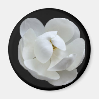 Südliche Lady Magnet