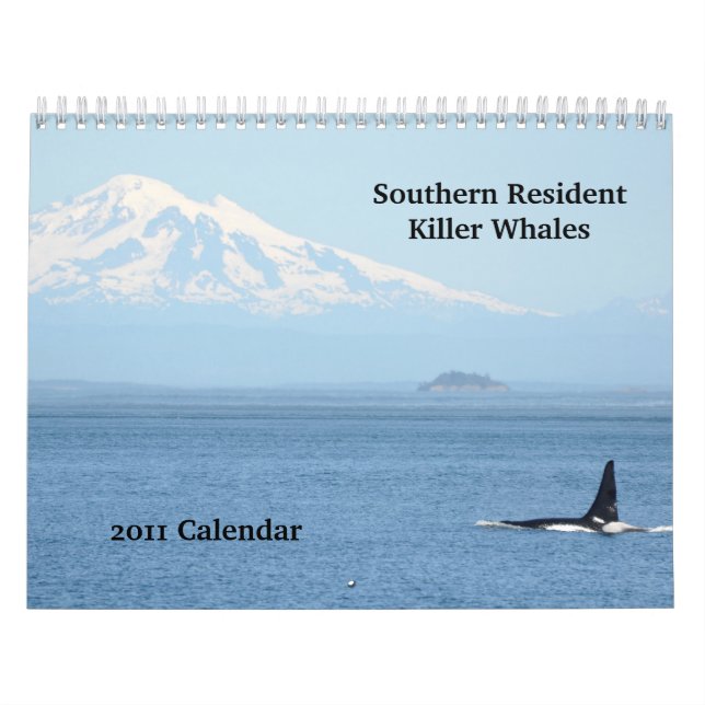 Südliche ResidentKillerwale Kalender (Titelbild)