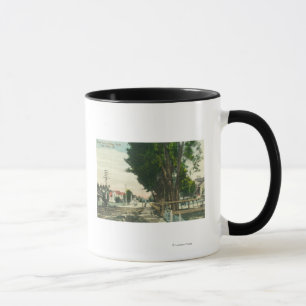 Südlicher Blick aus der Auburn Street Tasse