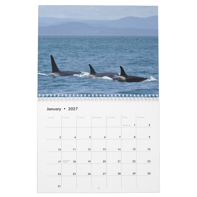Südlicher Residentkalender des Killerwal-2013 Kalender (Jan 2027)