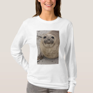 Südlicher See-Elefant Mirounga leonina) T-Shirt