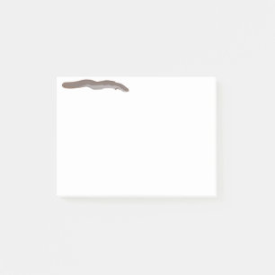 Südlicher Shortfin Post-it Klebezettel