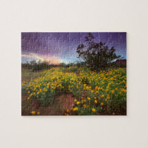 Südlicher Utah-Wüsten-Wildblumen-Sonnenuntergang