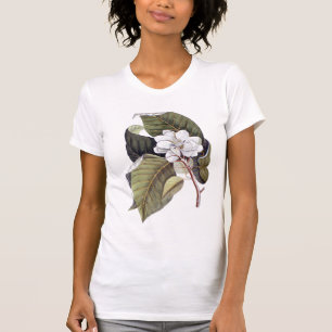 Südliches Schönheits-Magnolien-T - T-Shirt