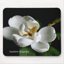 SüdMagnolien