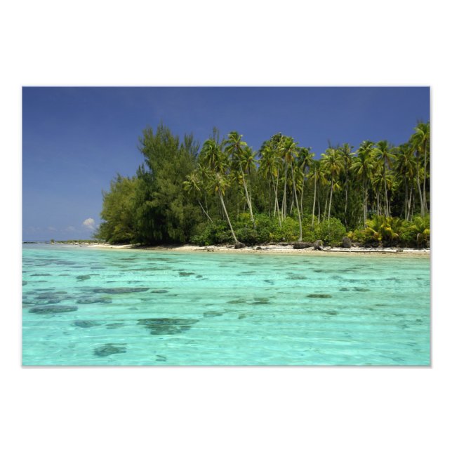 Südpazifik, Französisch-Polynesien, Moorea 2 Fotodruck (Vorne)