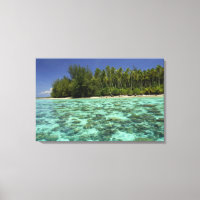 Südpazifik, Französisch-Polynesien, Moorea 3