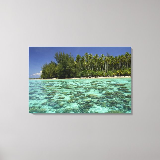 Südpazifik, Französisch-Polynesien, Moorea 3 Leinwanddruck (Vorderseite)