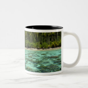 Südpazifik, Französisch-Polynesien, Moorea 3 Zweifarbige Tasse