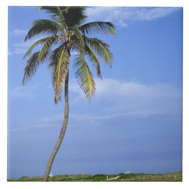 Südstrand, Miami Beach, Florida, USA Fliese (Vorderseite)