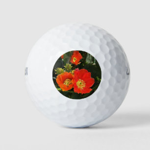 Südwest Cactus Blume Foto Bright Red Floral Golfball