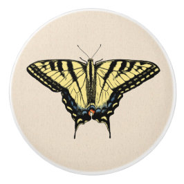 Südwest-Gelbes Frack Butterfly Keramikknauf