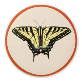 Südwest-Gelbes Frack Butterfly Keramikknauf