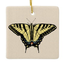 Südwest-Gelbes Frack Butterfly