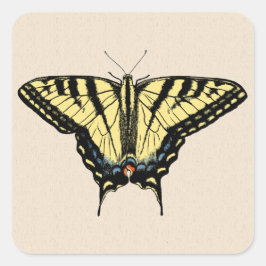 Südwest-Gelbes Frack Butterfly Quadratischer Aufkleber