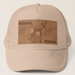 Südwest Pronghorn Antelope Truckerkappe