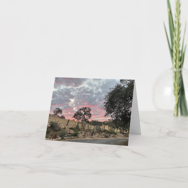 Südwest Sunrise (Vorderseite)