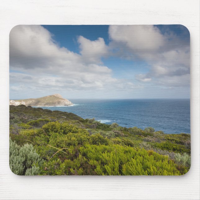 Südwestaustralien, Albany Mousepad (Vorne)