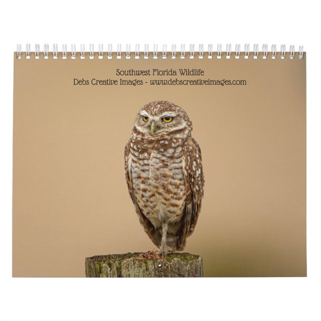 Südwestflorida Wildlife 2026 Kalender (Titelbild)